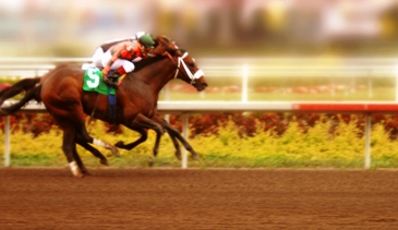 Photo of Thoroughbred Horseracing at Gulfstream Park in Hallandale Beach, Florida.